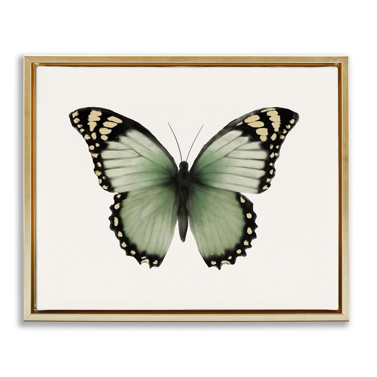 Stupell Industries Green Symmetrical Butterfly Framed Floater Canvas Wall Art Design by Elizabeth Medley